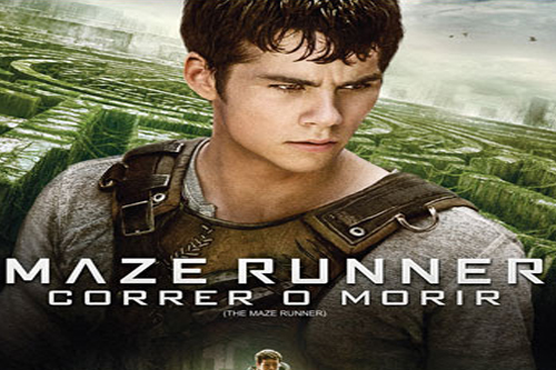 maze runner dvd bluray