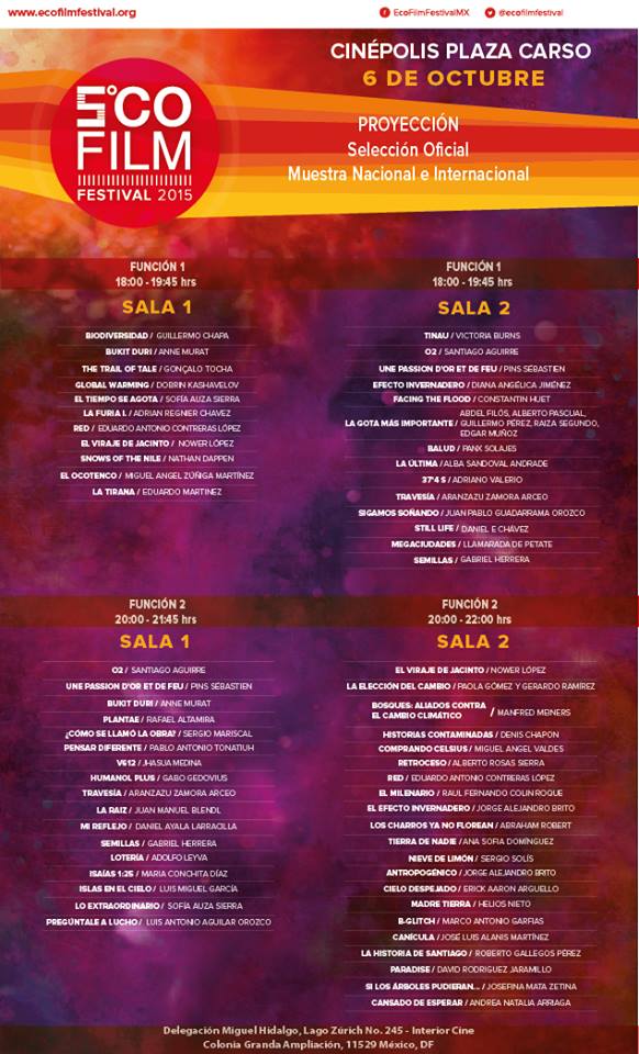 PROGRAMA 6OCT