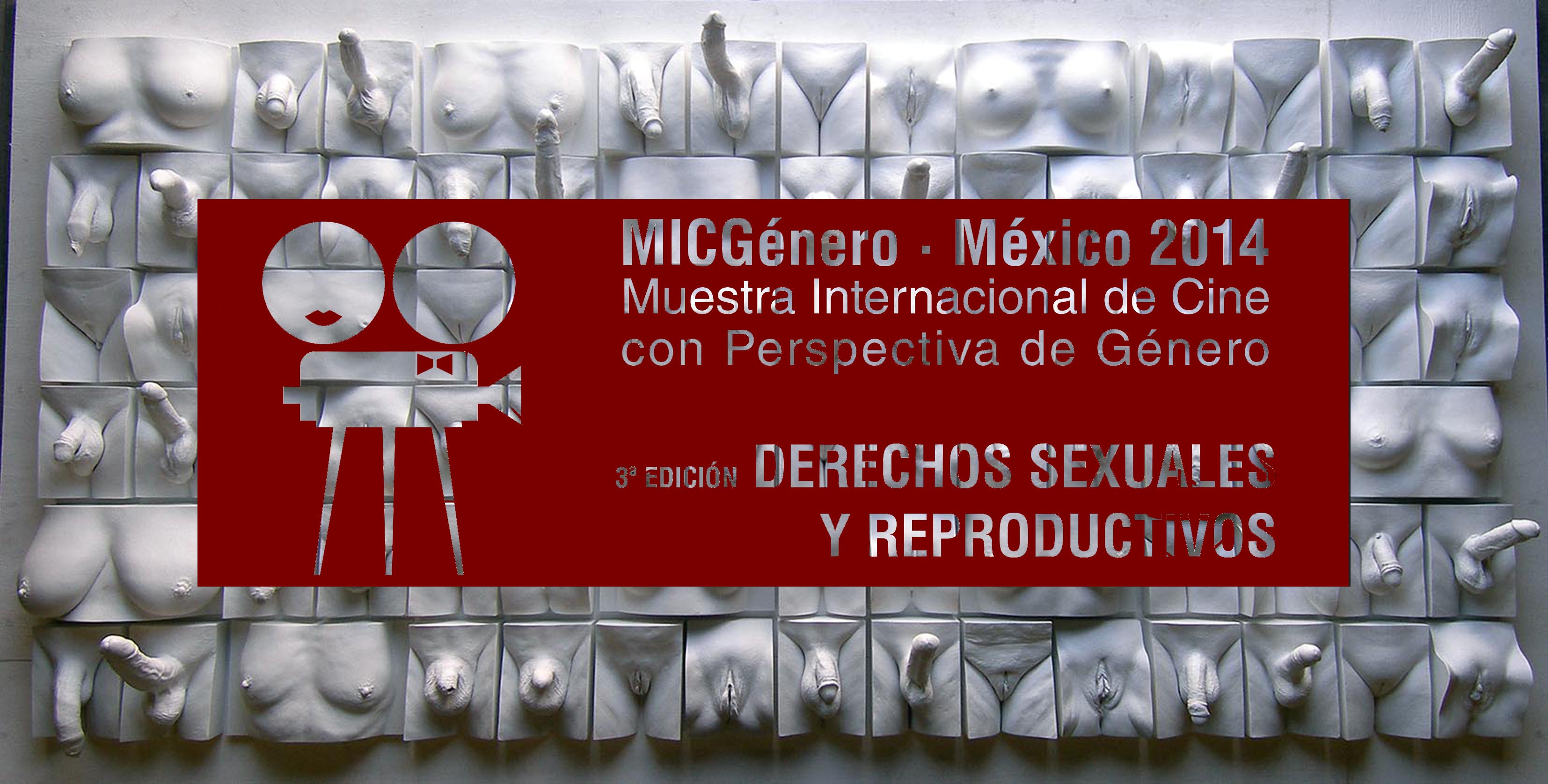 lamina prezi rojo