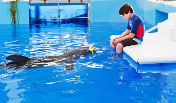 Dolphin Tale 2 winter delfin