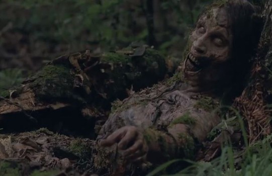 TWD4